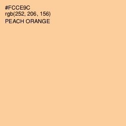 #FCCE9C - Peach Orange Color Image